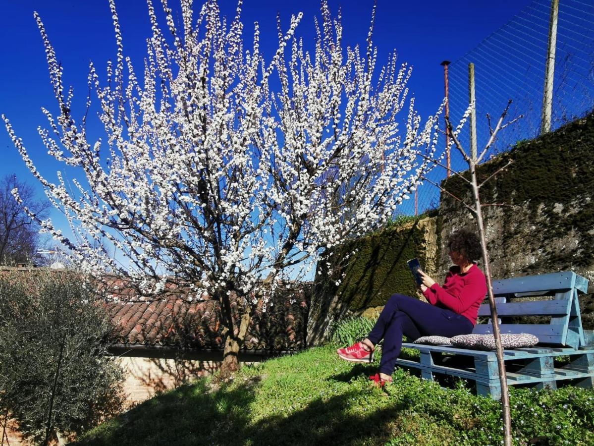 Casa Graziella- Appartamenti Vacanze Portacomaro Εξωτερικό φωτογραφία